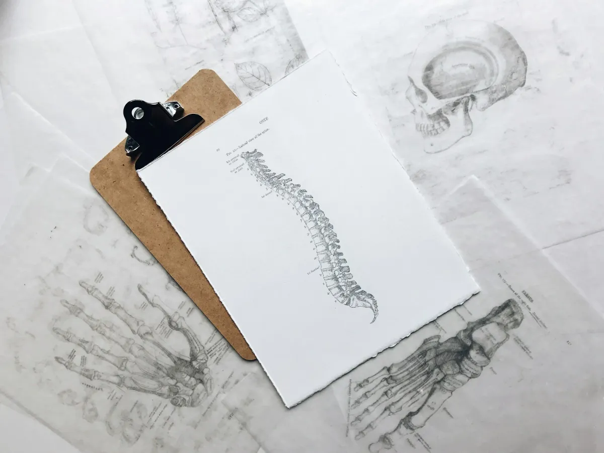 Prancheta com ilustração da coluna vertebral sobre desenhos anatômicos