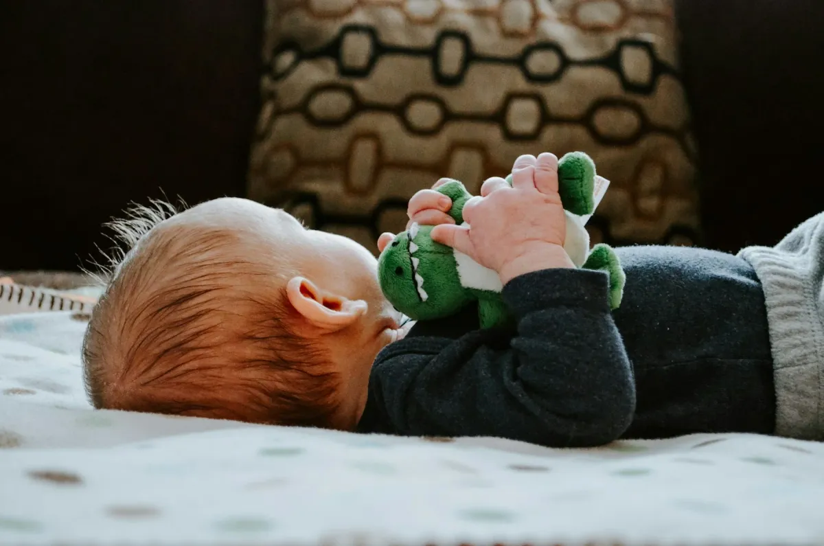 Bebê deitado segurando um brinquedo de pelúcia com as mãos