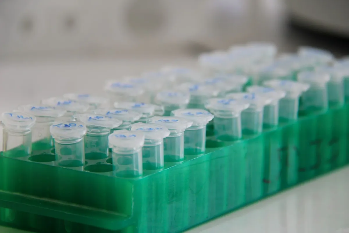 Suporte verde com tubos de ensaio de amostras em bancada de laboratório