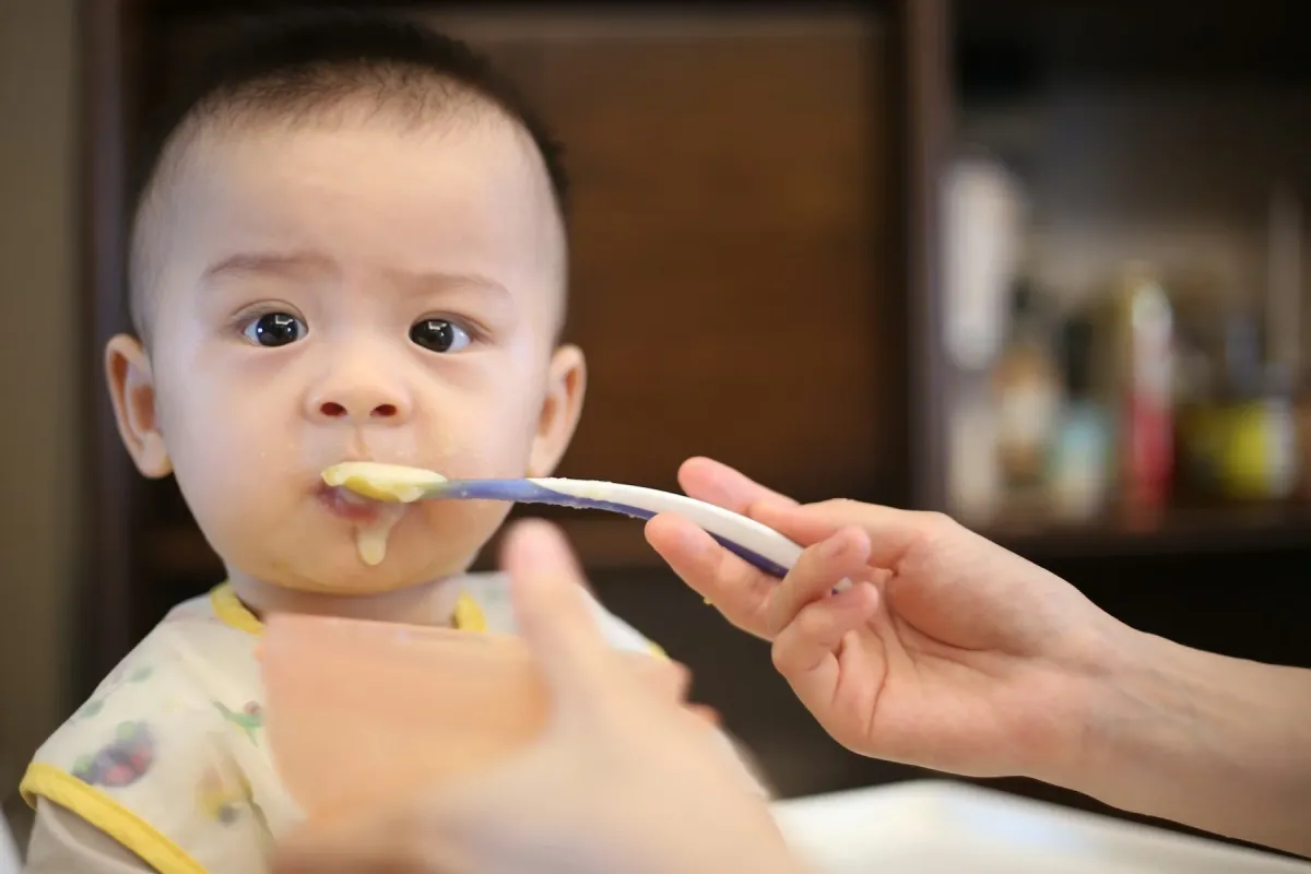 Mão oferece papinha com colher a um bebê