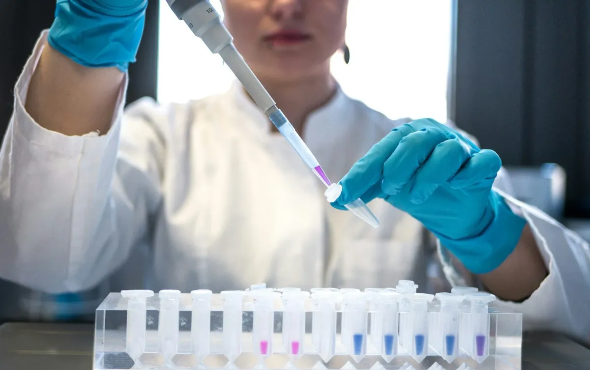 Profissional de laboratório de luvas azuis pipeta amostras em microtubos