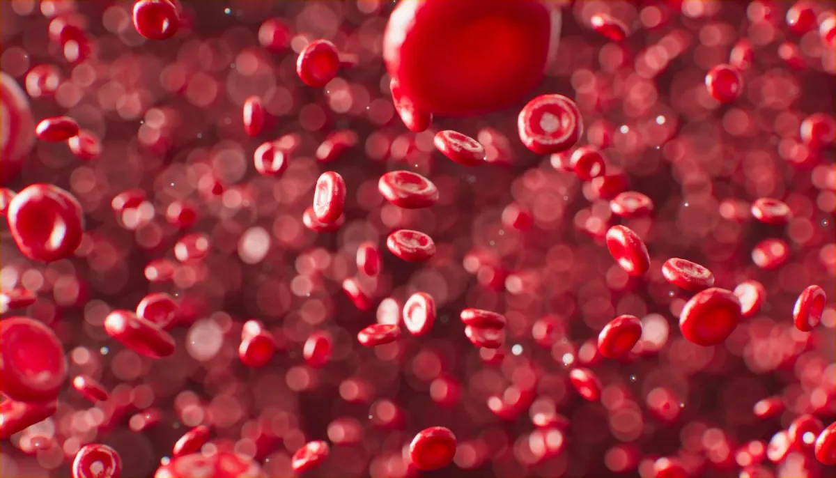 Hemácias vermelhas em suspensão no sangue, em imagem de close
