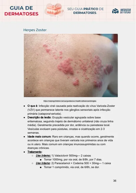 Página do Guia de Dermatoses 2026