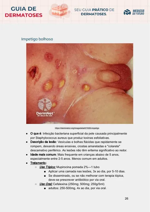 Página do Guia de Dermatoses 2026