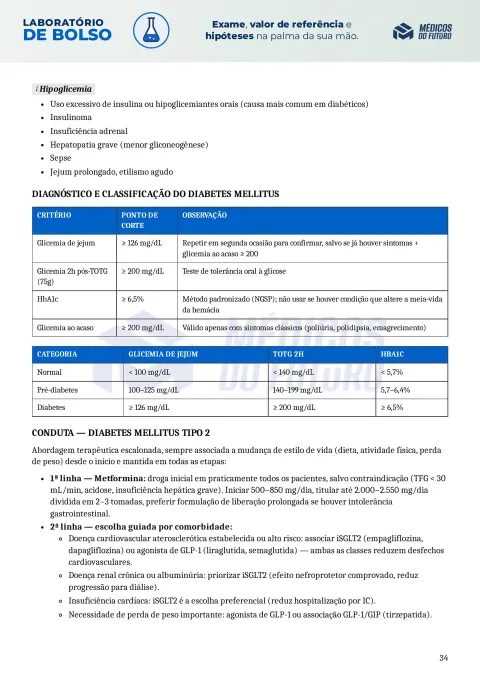 Página do Laboratório de Bolso 2026