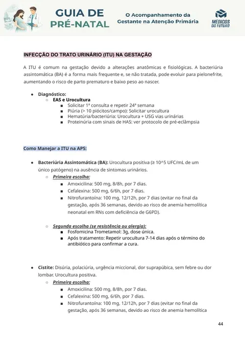 Página do Guia de Pré-Natal 2026