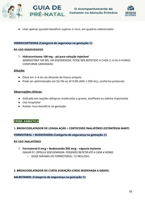 Página do Guia de Pré-Natal 2026
