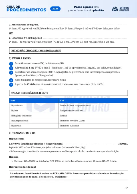 Página do Guia de Procedimentos 2026
