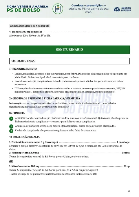 Página do PS de Bolso 2026 — Ficha Verde e Amarela