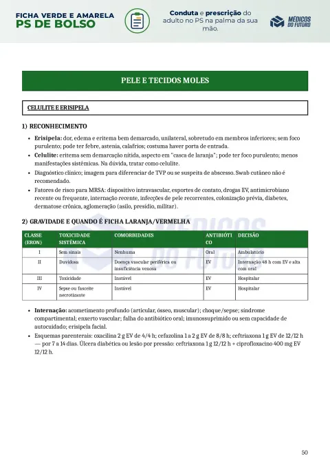 Página do PS de Bolso 2026 — Ficha Verde e Amarela