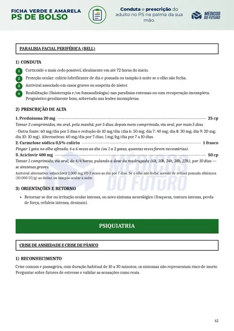 Página do PS de Bolso 2026 — Ficha Verde e Amarela