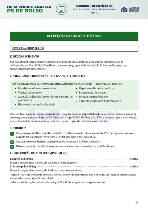 Página do PS de Bolso 2026 — Ficha Verde e Amarela