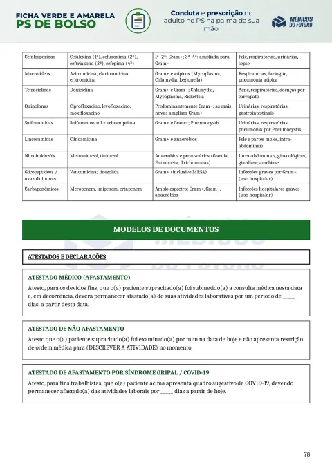 Página do PS de Bolso 2026 — Ficha Verde e Amarela