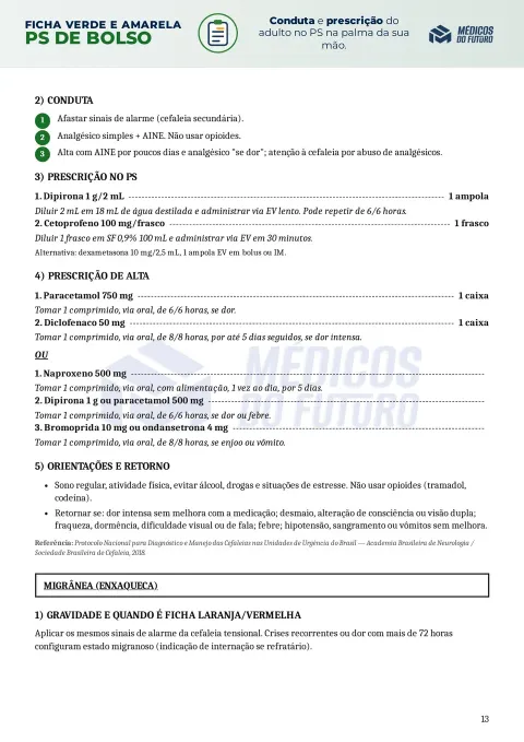 Página do PS de Bolso 2026 — Ficha Verde e Amarela