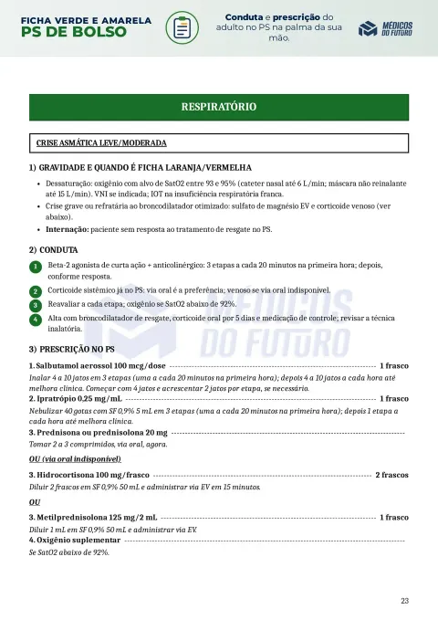 Página do PS de Bolso 2026 — Ficha Verde e Amarela