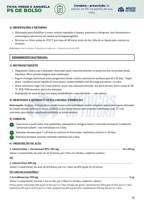 Página do PS de Bolso 2026 — Ficha Verde e Amarela