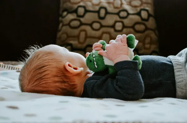 Bebê deitado segurando um brinquedo de pelúcia com as mãos