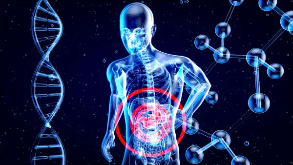 Ilustração 3D de corpo humano translúcido com o abdome destacado em vermelho